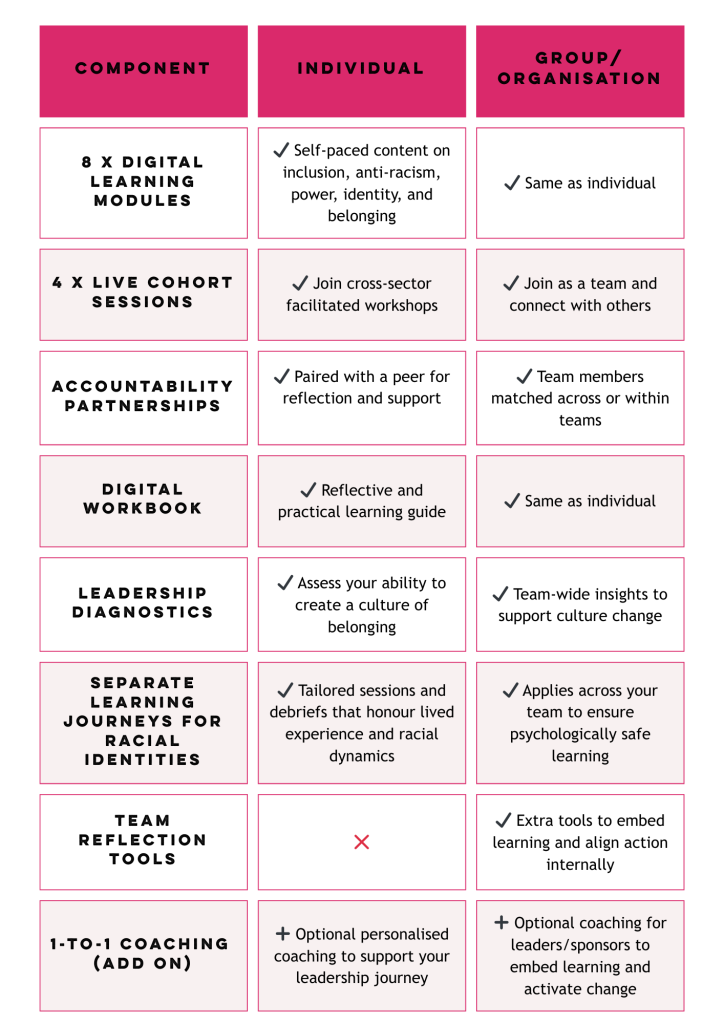 A pink and white table with three columns that display the components that make up the Leadership for Belonging offer for individuals and groups.