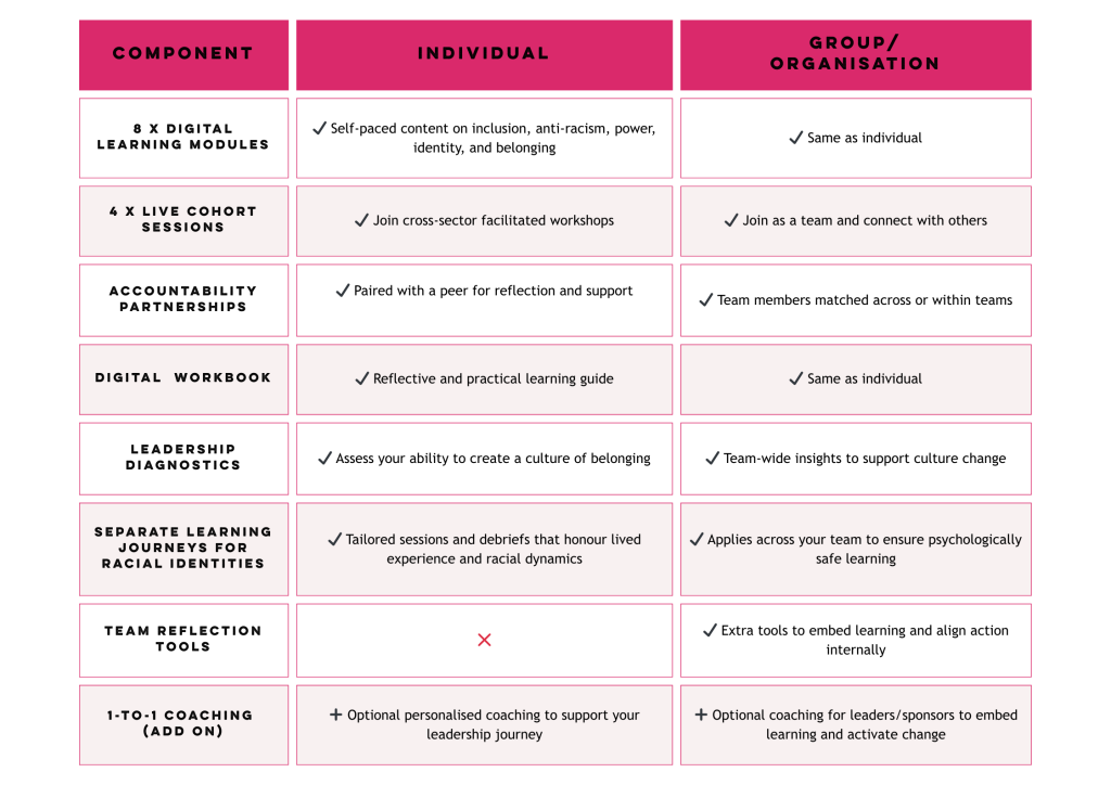 A pink and white table with three columns that display the components that make up the Leadership for Belonging offer for individuals and groups.